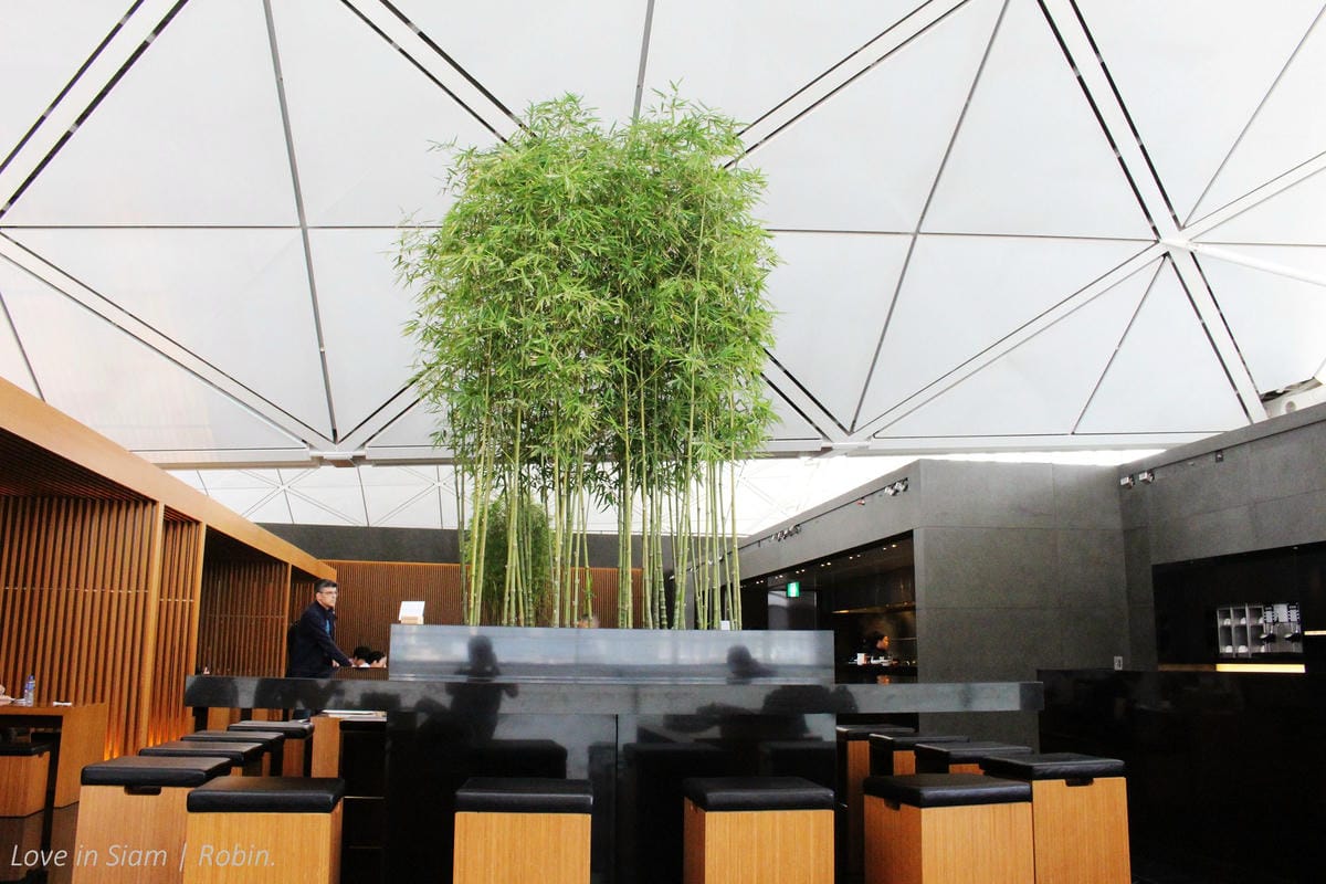 國泰航空 香港 逸連堂/寰宇堂貴賓室 – 滿足餐飲、盥洗、休憩等差旅需求(附位置及使用資格資訊) - 第21張圖 國泰航空 香港 逸連堂/寰宇堂貴賓室 – 滿足餐飲、盥洗、休憩等差旅需求(附位置及使用資格資訊)