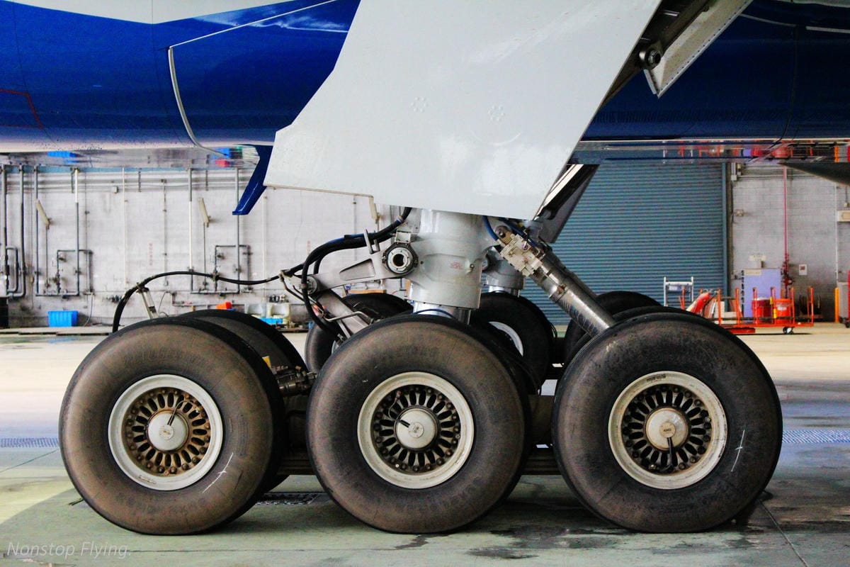 IMG_2505.jpg IMG_2505.jpg