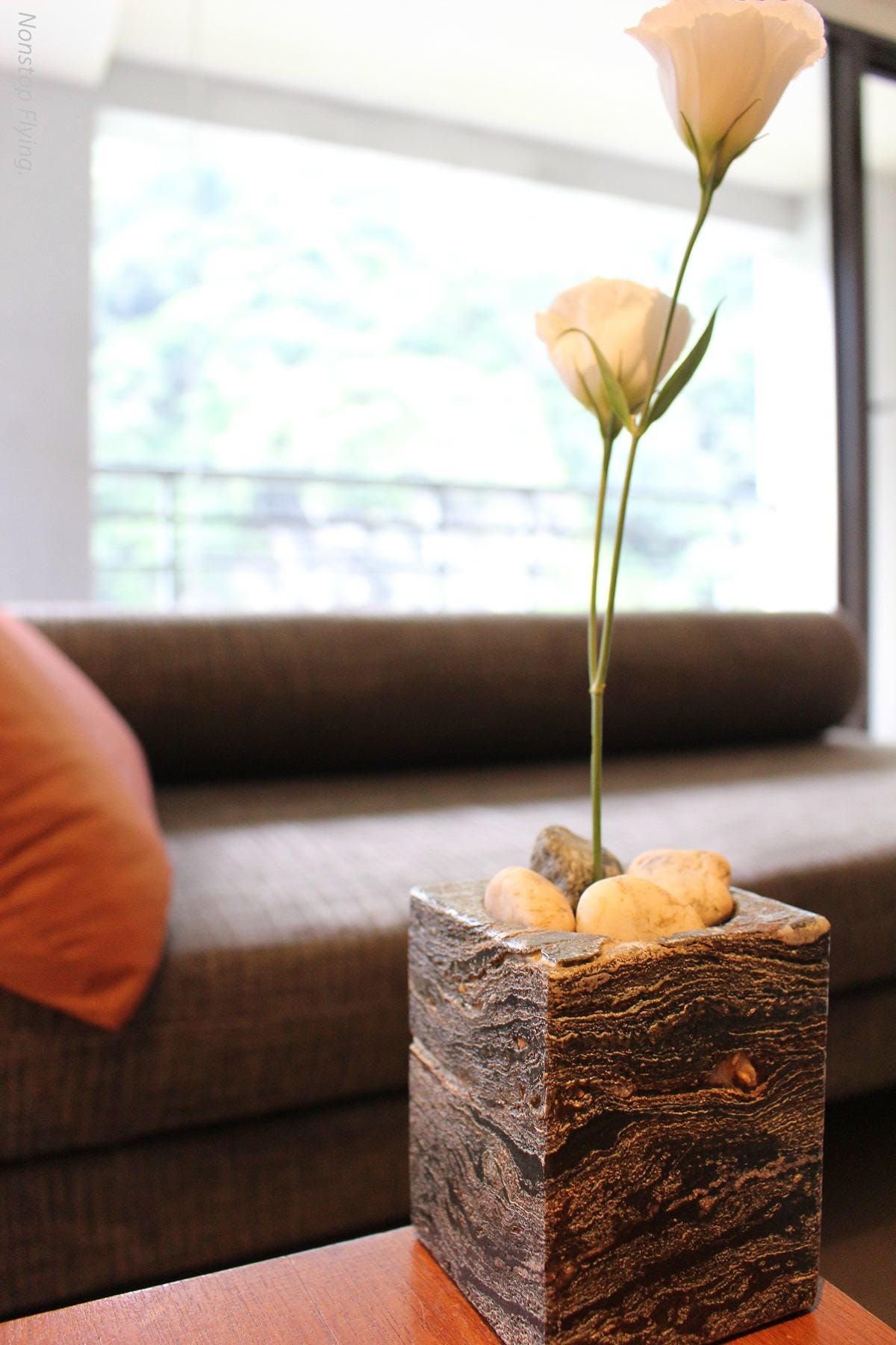 IMG_3516.jpg IMG_3516.jpg