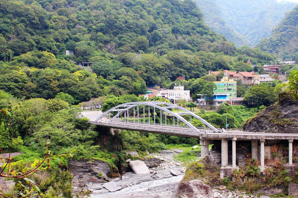 IMG_3559.jpg IMG_3559.jpg