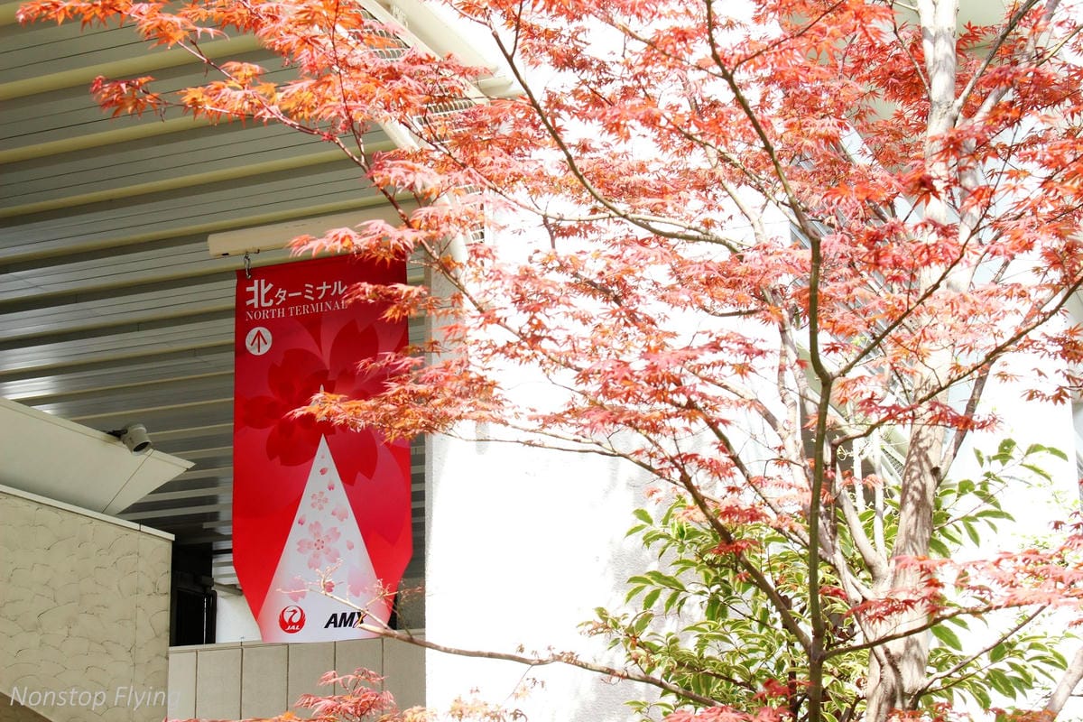 2017.04.16 日本航空JL118 伊丹-羽田 飛行記錄-767新SKY NEXT客艙,新穎舒適、免費機上Wi-Fi,親切熱情服務! - 第3張圖 2017.04.16 日本航空JL118 伊丹-羽田 飛行記錄-767新SKY NEXT客艙,新穎舒適、免費機上Wi-Fi,親切熱情服務!