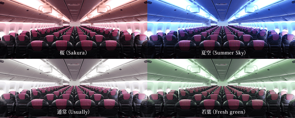 2017.04.16 日本航空JL118 伊丹-羽田 飛行記錄-767新SKY NEXT客艙,新穎舒適、免費機上Wi-Fi,親切熱情服務! - 第35張圖 2017.04.16 日本航空JL118 伊丹-羽田 飛行記錄-767新SKY NEXT客艙,新穎舒適、免費機上Wi-Fi,親切熱情服務!