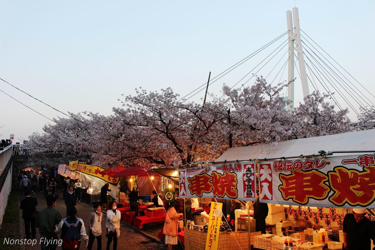 【日本大阪】天滿橋、造幣局櫻花大道 -花期後段賞夜櫻!