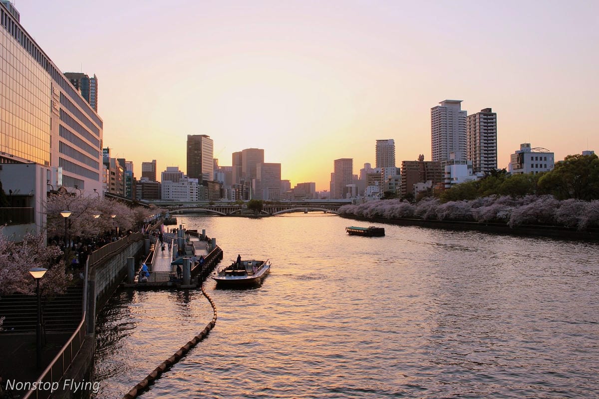 【日本大阪】天滿橋、造幣局櫻花大道 -花期後段賞夜櫻!