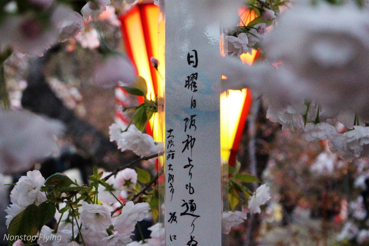 【日本大阪】天滿橋、造幣局櫻花大道 -花期後段賞夜櫻!