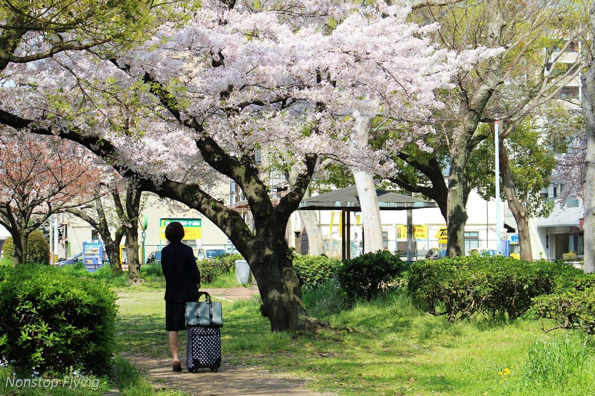 【日本大阪】梅田藍天大廈空中庭園展望台、大淀中公園賞櫻! - 第12張圖 【日本大阪】梅田藍天大廈空中庭園展望台、大淀中公園賞櫻!