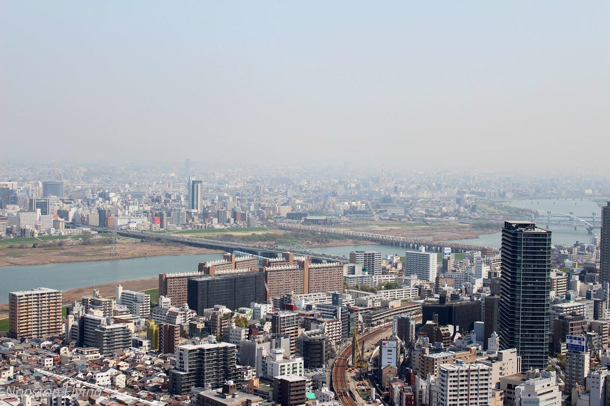 【日本大阪】梅田藍天大廈空中庭園展望台、大淀中公園賞櫻! - 第21張圖 【日本大阪】梅田藍天大廈空中庭園展望台、大淀中公園賞櫻!