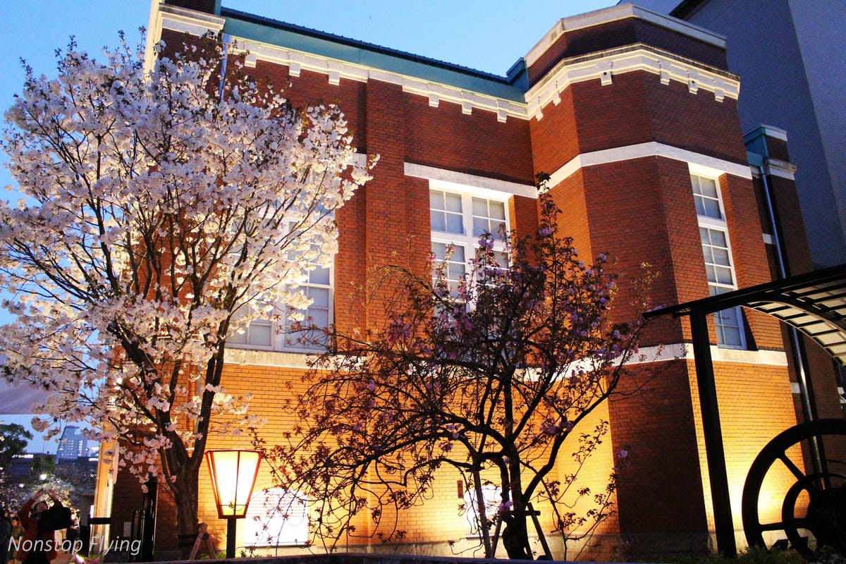 【日本大阪】天滿橋、造幣局櫻花大道 -花期後段賞夜櫻!