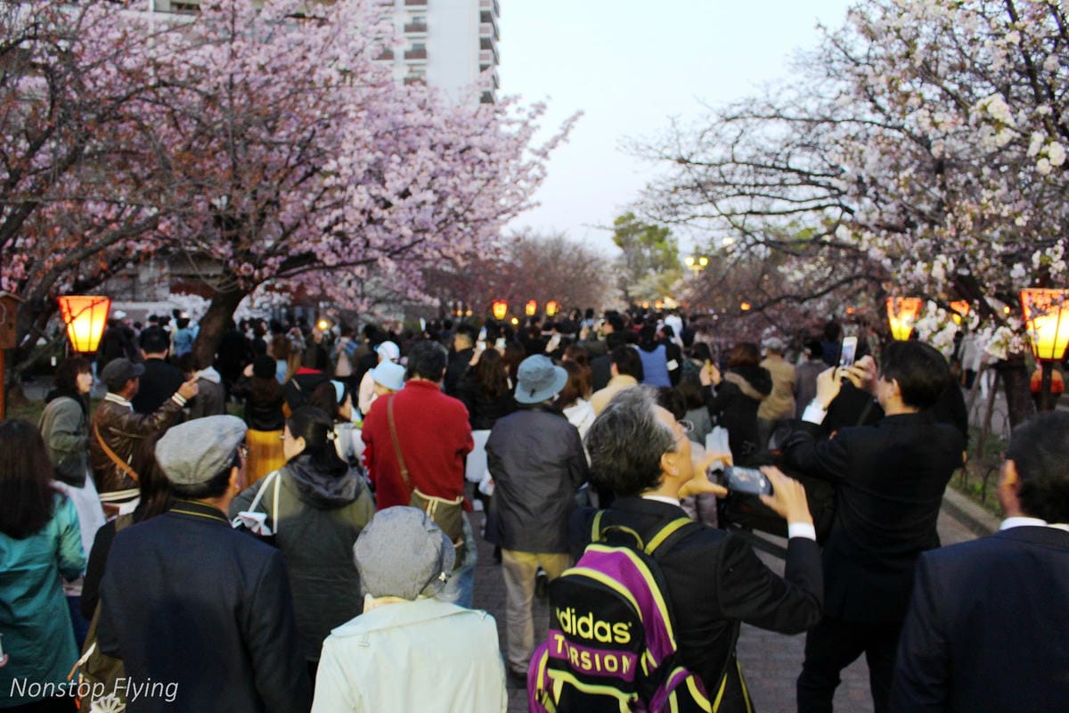 【日本大阪】天滿橋、造幣局櫻花大道 -花期後段賞夜櫻!