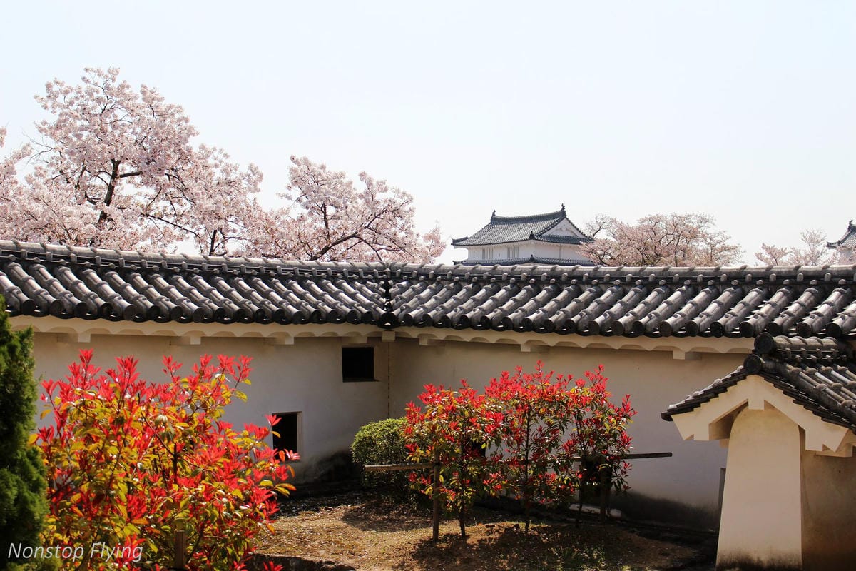 【日本關西】春櫻盛開 姬路城 -從滿開到吹雪的名城風情 - 第34張圖 【日本關西】春櫻盛開 姬路城 -從滿開到吹雪的名城風情