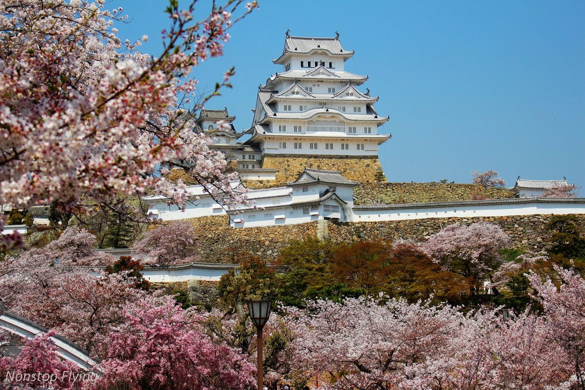 【日本關西】春櫻盛開 姬路城 -從滿開到吹雪的名城風情 - 第17張圖 【日本關西】春櫻盛開 姬路城 -從滿開到吹雪的名城風情