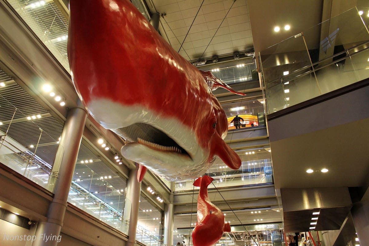 【日本關西】春櫻盛開 姬路城 -從滿開到吹雪的名城風情 - 第45張圖 【日本關西】春櫻盛開 姬路城 -從滿開到吹雪的名城風情