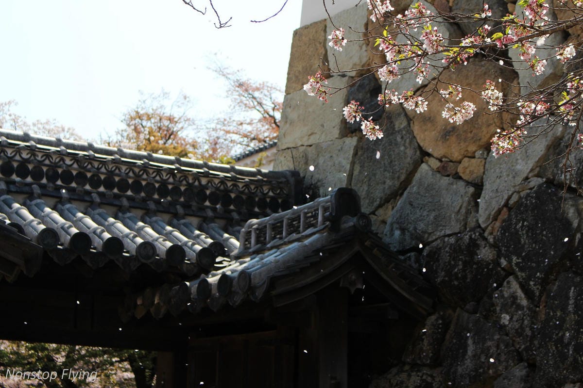 【日本關西】春櫻盛開 姬路城 -從滿開到吹雪的名城風情 - 第35張圖 【日本關西】春櫻盛開 姬路城 -從滿開到吹雪的名城風情