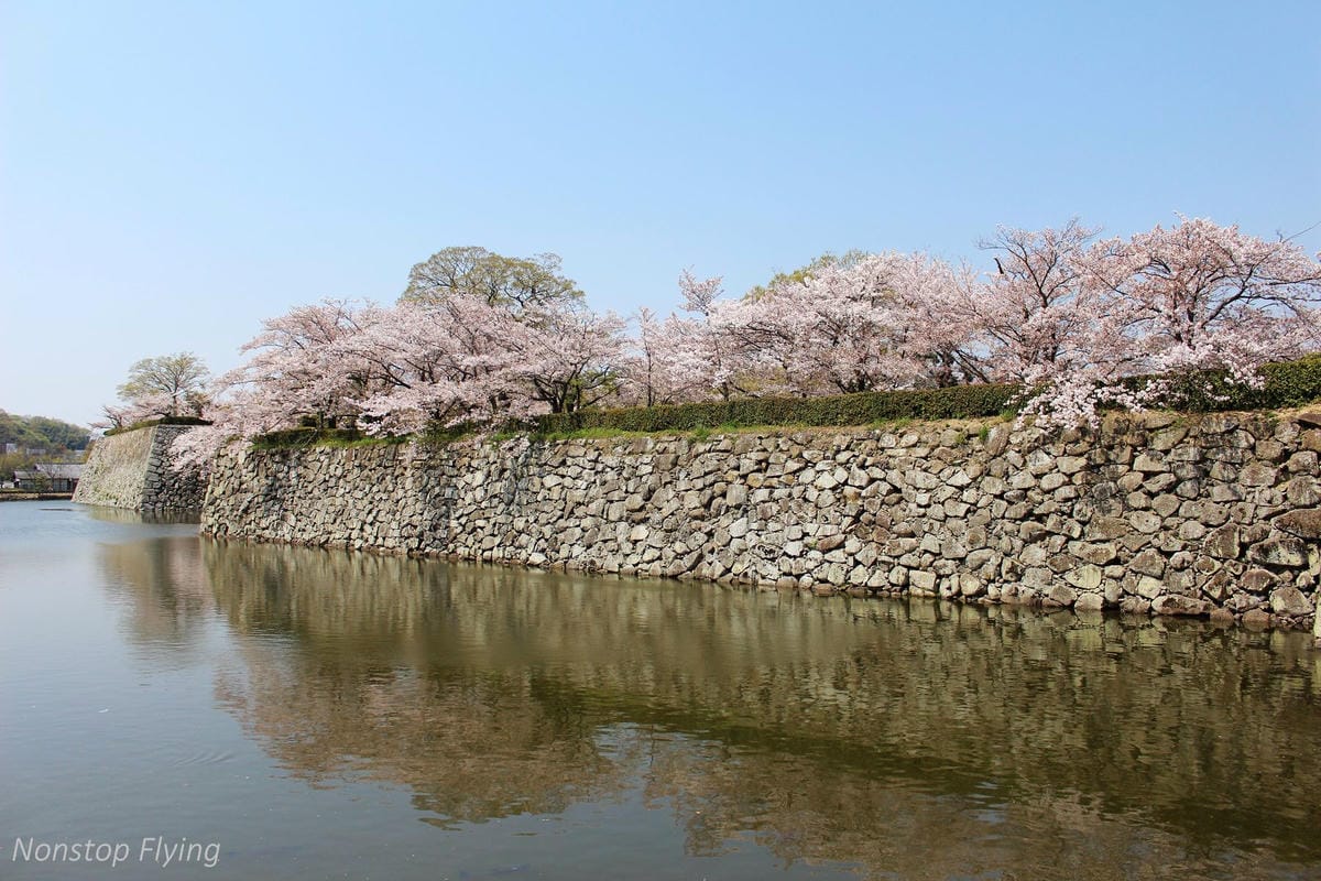 【日本關西】春櫻盛開 姬路城 -從滿開到吹雪的名城風情 - 第10張圖 【日本關西】春櫻盛開 姬路城 -從滿開到吹雪的名城風情