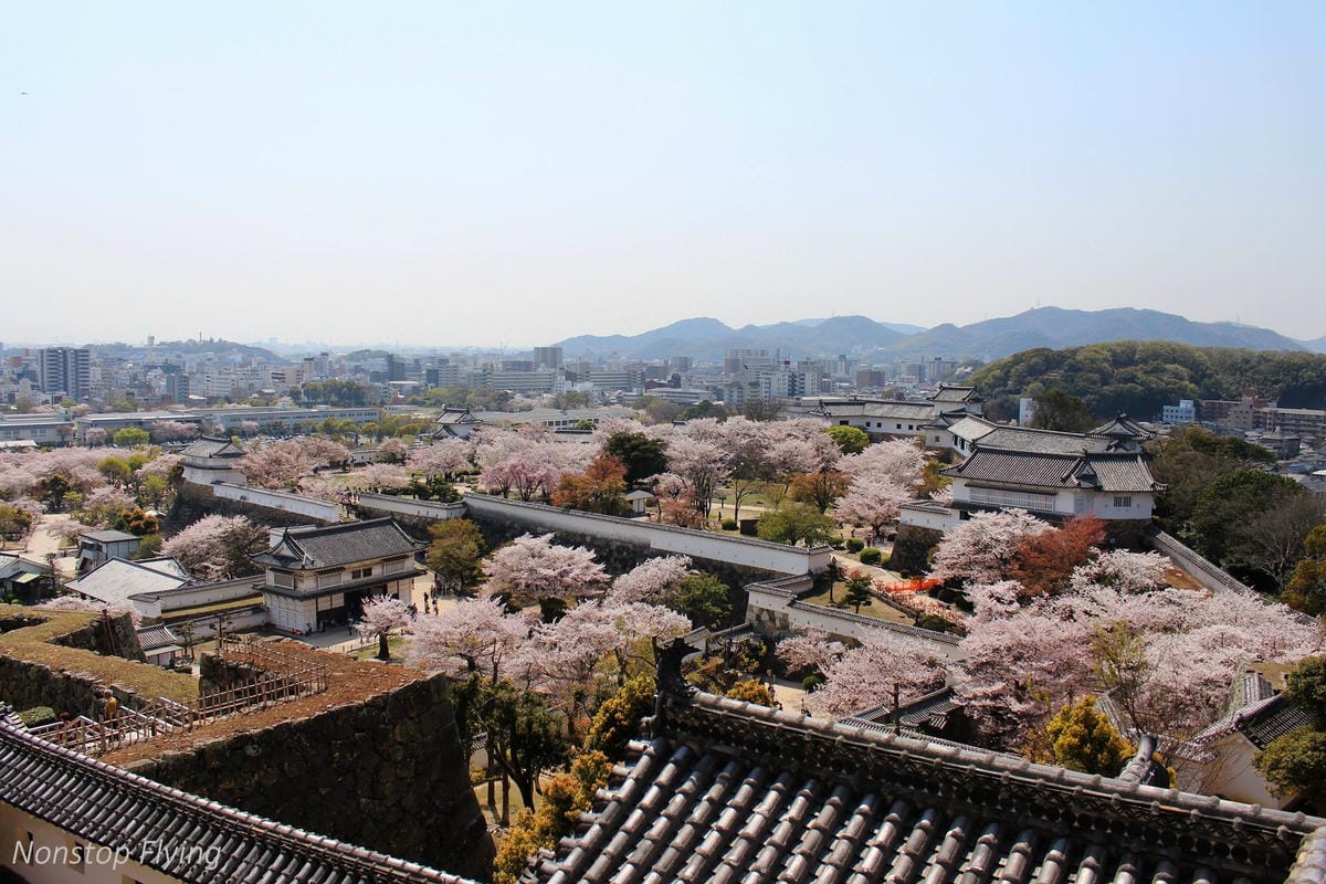 【日本關西】春櫻盛開 姬路城 -從滿開到吹雪的名城風情 - 第25張圖 【日本關西】春櫻盛開 姬路城 -從滿開到吹雪的名城風情