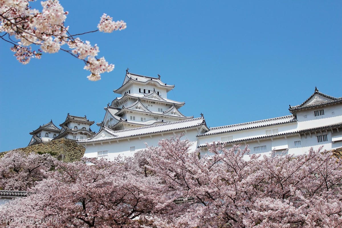 【日本關西】春櫻盛開 姬路城 -從滿開到吹雪的名城風情 - 第21張圖 【日本關西】春櫻盛開 姬路城 -從滿開到吹雪的名城風情