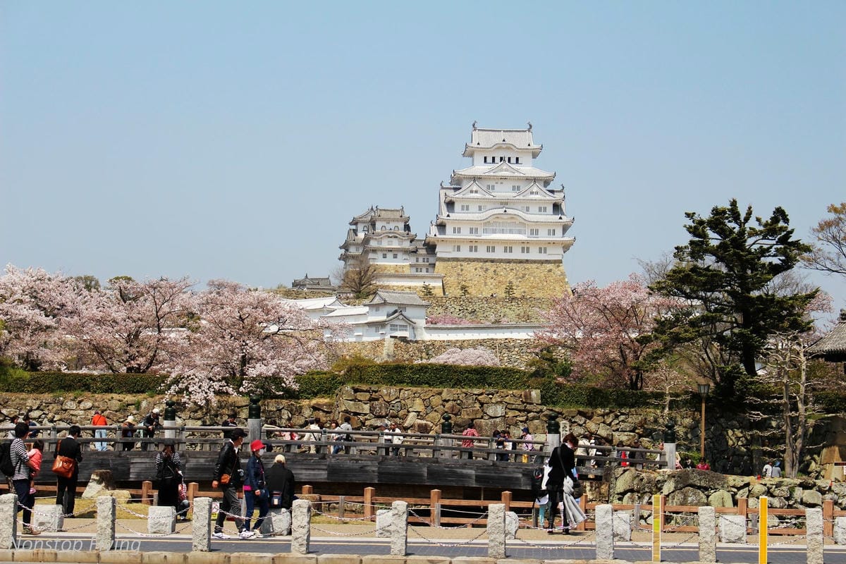 【日本關西】春櫻盛開 姬路城 -從滿開到吹雪的名城風情 - 第6張圖 【日本關西】春櫻盛開 姬路城 -從滿開到吹雪的名城風情
