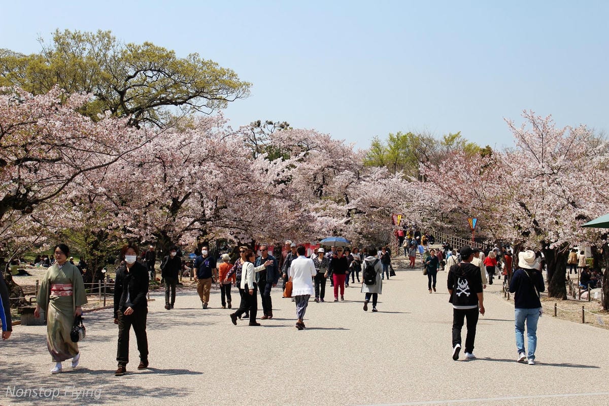 【日本關西】春櫻盛開 姬路城 -從滿開到吹雪的名城風情 - 第11張圖 【日本關西】春櫻盛開 姬路城 -從滿開到吹雪的名城風情