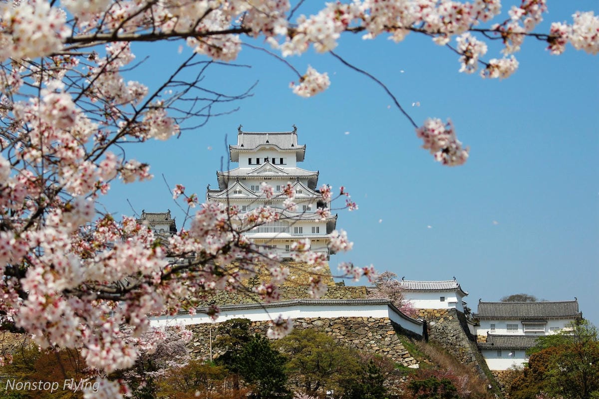 【日本關西】春櫻盛開 姬路城 -從滿開到吹雪的名城風情 - 第12張圖 【日本關西】春櫻盛開 姬路城 -從滿開到吹雪的名城風情