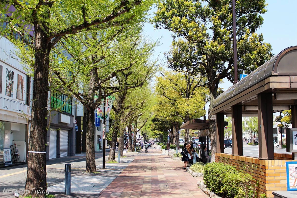 【日本關西】春櫻盛開 姬路城 -從滿開到吹雪的名城風情 - 第5張圖 【日本關西】春櫻盛開 姬路城 -從滿開到吹雪的名城風情