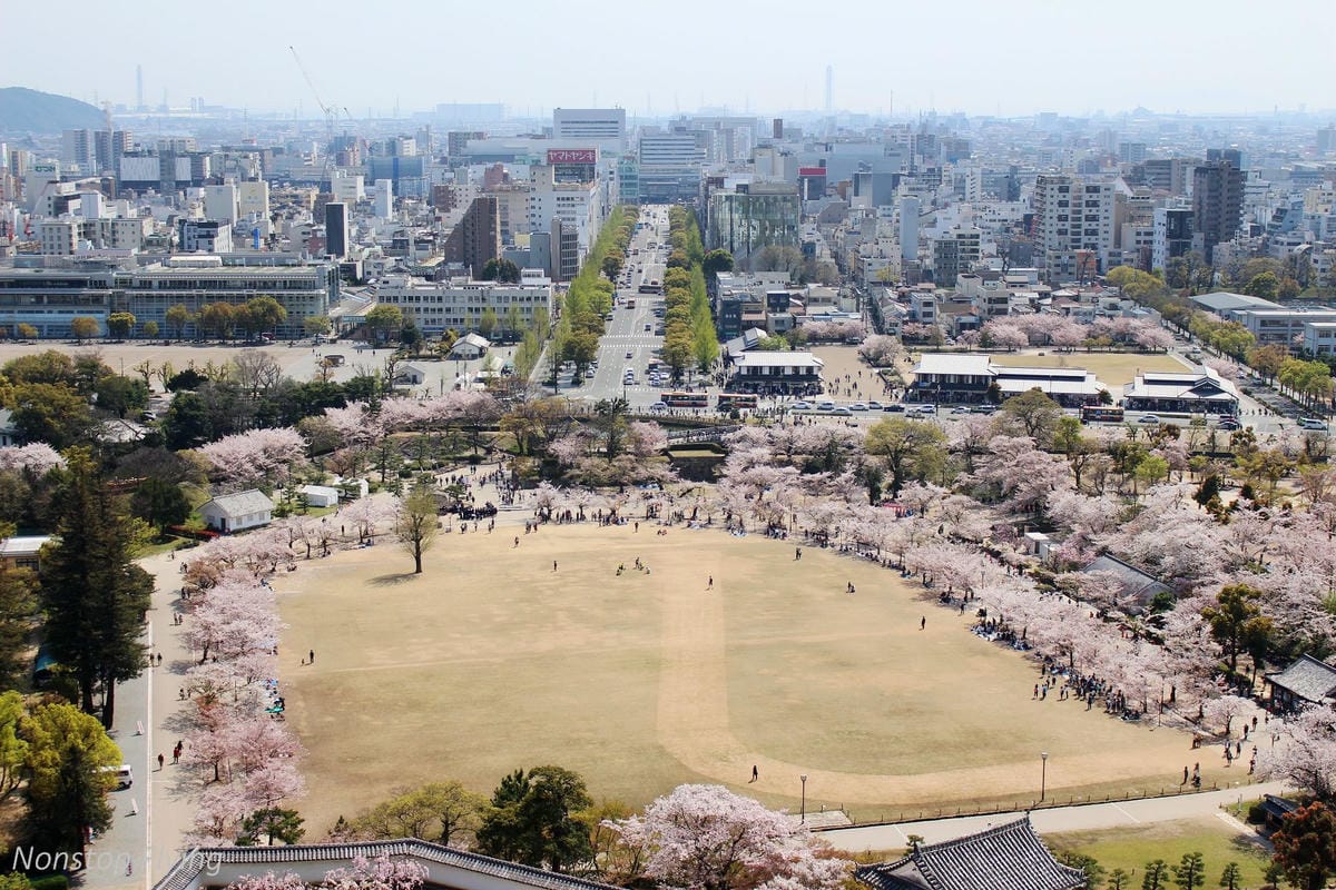 【日本關西】春櫻盛開 姬路城 -從滿開到吹雪的名城風情 - 第28張圖 【日本關西】春櫻盛開 姬路城 -從滿開到吹雪的名城風情