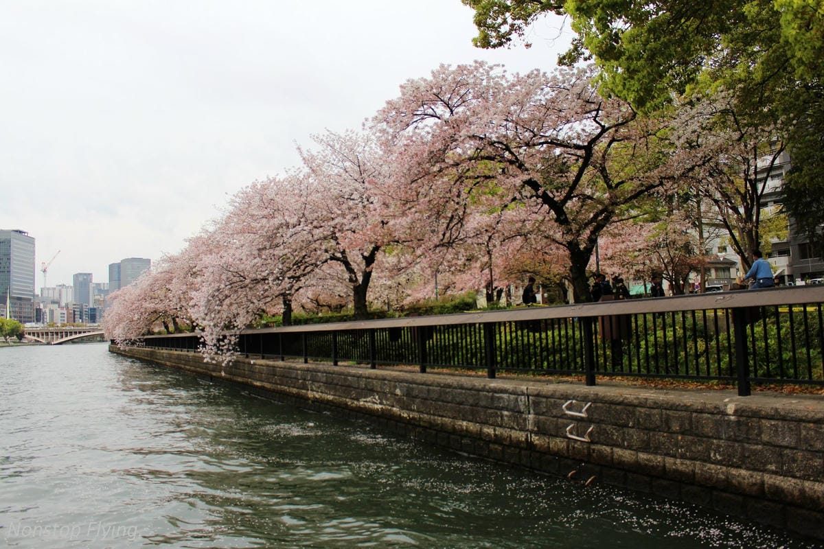 【日本大阪】大阪城巡禮、大川櫻花遊覽船(大阪周遊卡免費乘坐) - 第8張圖 【日本大阪】大阪城巡禮、大川櫻花遊覽船(大阪周遊卡免費乘坐)