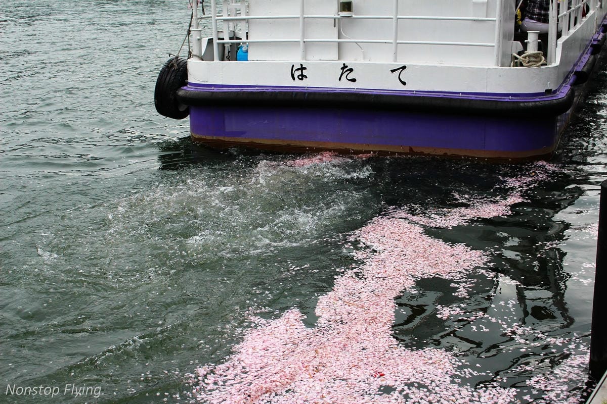 【日本大阪】大阪城巡禮、大川櫻花遊覽船(大阪周遊卡免費乘坐) - 第3張圖 【日本大阪】大阪城巡禮、大川櫻花遊覽船(大阪周遊卡免費乘坐)