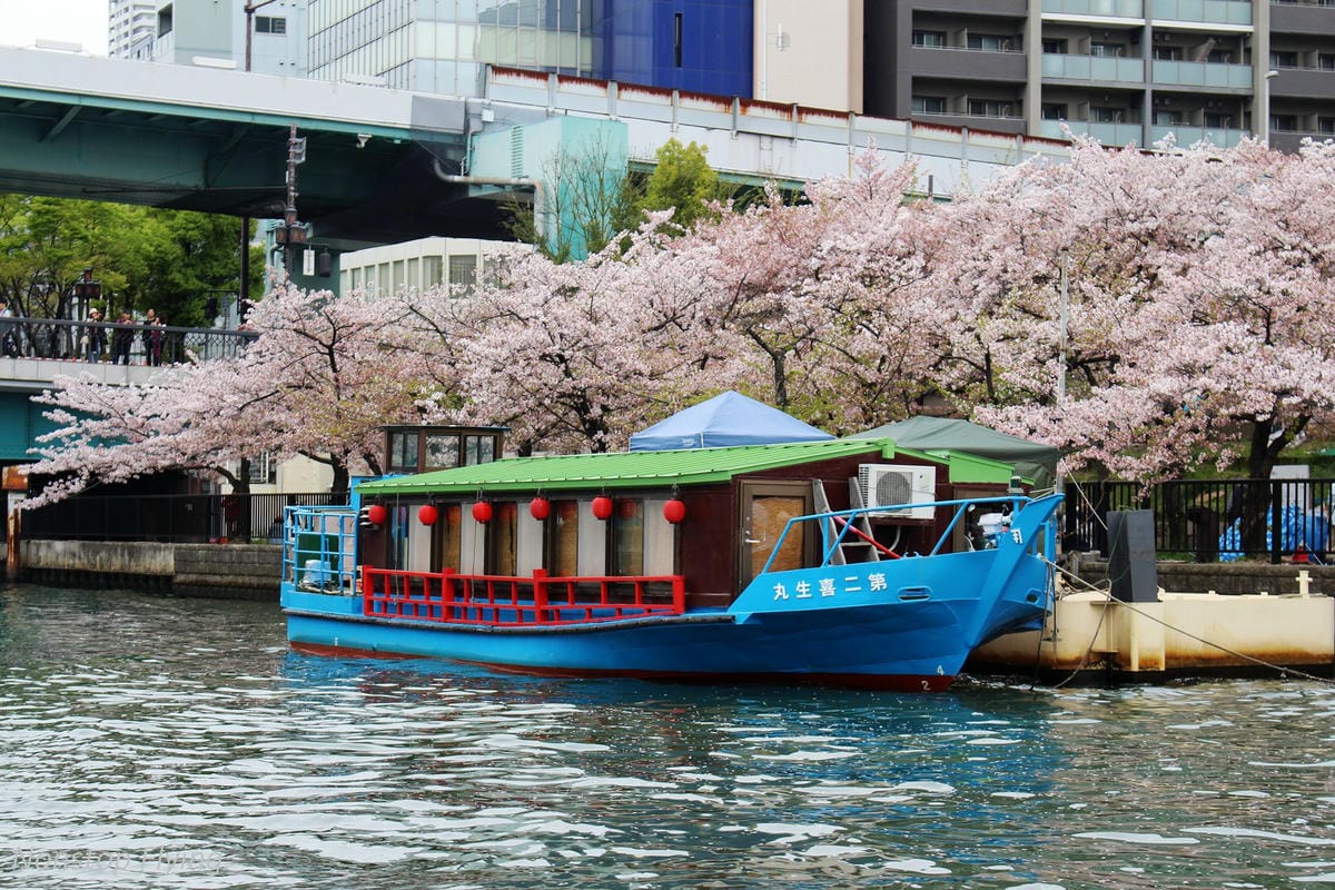 【日本大阪】大阪城巡禮、大川櫻花遊覽船(大阪周遊卡免費乘坐) - 第7張圖 【日本大阪】大阪城巡禮、大川櫻花遊覽船(大阪周遊卡免費乘坐)