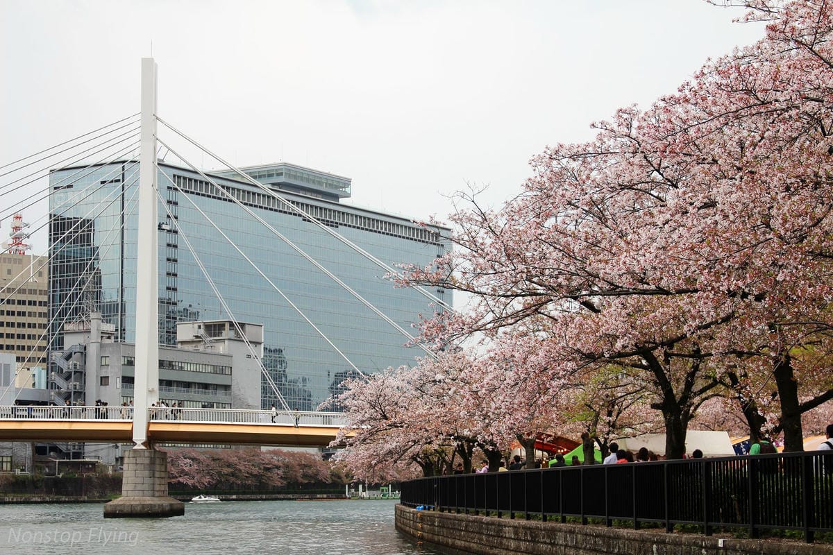 【日本大阪】大阪城巡禮、大川櫻花遊覽船(大阪周遊卡免費乘坐) - 第5張圖 【日本大阪】大阪城巡禮、大川櫻花遊覽船(大阪周遊卡免費乘坐)