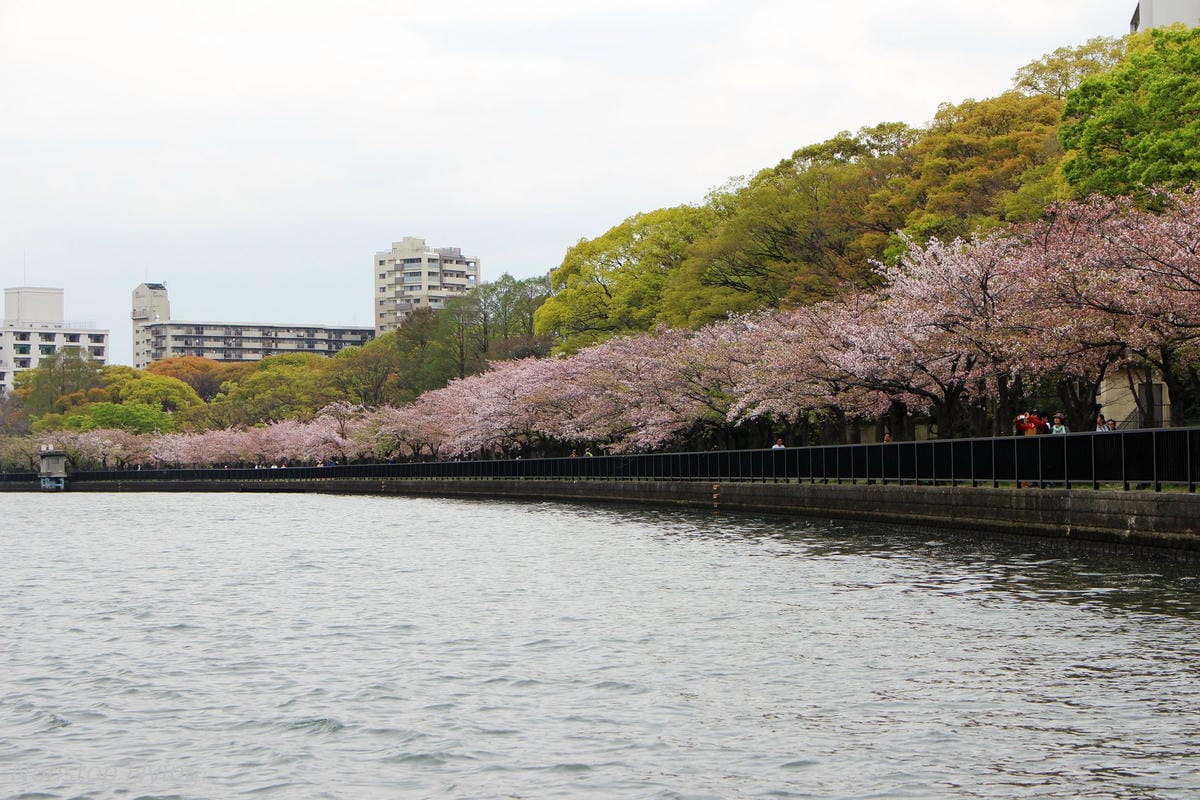 【日本大阪】大阪城巡禮、大川櫻花遊覽船(大阪周遊卡免費乘坐) - 第4張圖 【日本大阪】大阪城巡禮、大川櫻花遊覽船(大阪周遊卡免費乘坐)