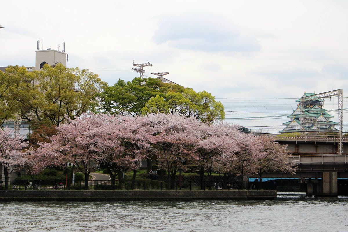 【日本大阪】大阪城巡禮、大川櫻花遊覽船(大阪周遊卡免費乘坐) - 第6張圖 【日本大阪】大阪城巡禮、大川櫻花遊覽船(大阪周遊卡免費乘坐)