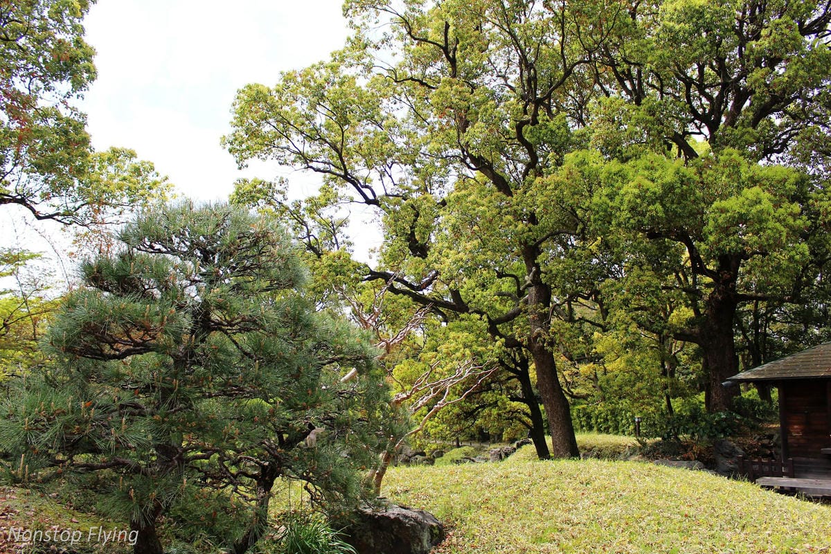 【日本東京】清澄庭園 -半藏門線/大江戶線徒步3分,經典日式庭園,春季賞櫻名所! - 第7張圖 【日本東京】清澄庭園 -半藏門線/大江戶線徒步3分,經典日式庭園,春季賞櫻名所!