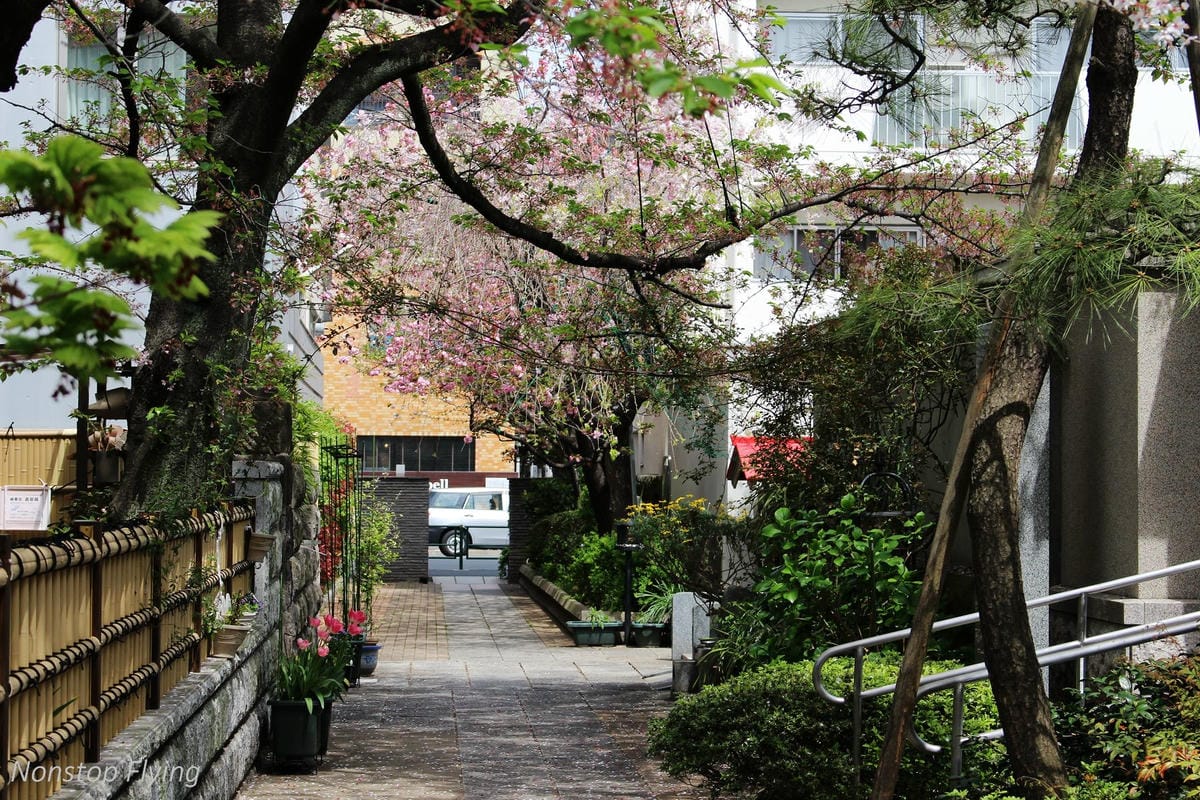 【日本東京】清澄庭園 -半藏門線/大江戶線徒步3分,經典日式庭園,春季賞櫻名所! - 第2張圖 【日本東京】清澄庭園 -半藏門線/大江戶線徒步3分,經典日式庭園,春季賞櫻名所!