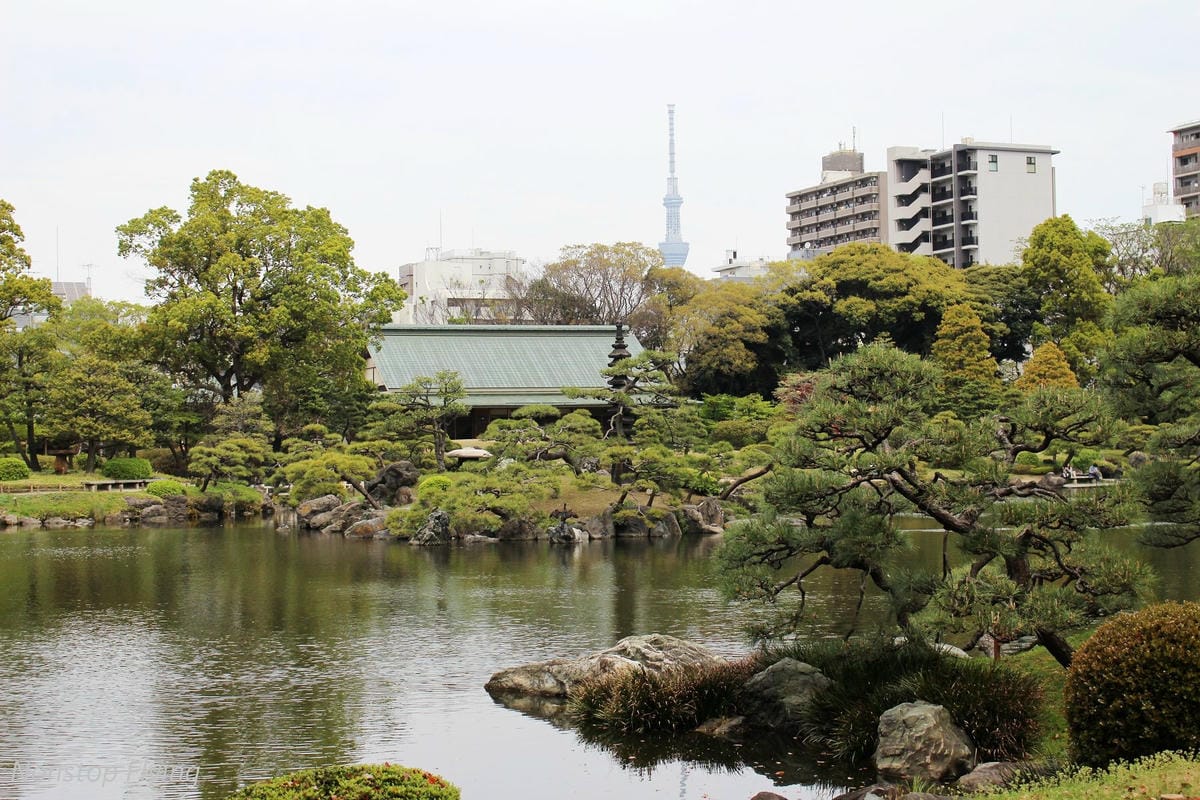 【日本東京】清澄庭園 -半藏門線/大江戶線徒步3分,經典日式庭園,春季賞櫻名所! - 第35張圖 【日本東京】清澄庭園 -半藏門線/大江戶線徒步3分,經典日式庭園,春季賞櫻名所!