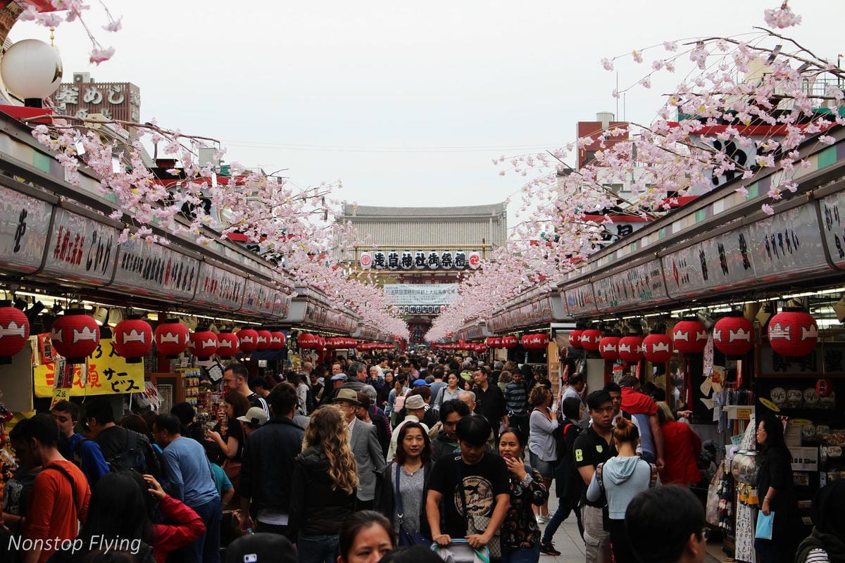 【日本東京】清澄庭園 -半藏門線/大江戶線徒步3分,經典日式庭園,春季賞櫻名所! - 第44張圖 【日本東京】清澄庭園 -半藏門線/大江戶線徒步3分,經典日式庭園,春季賞櫻名所!