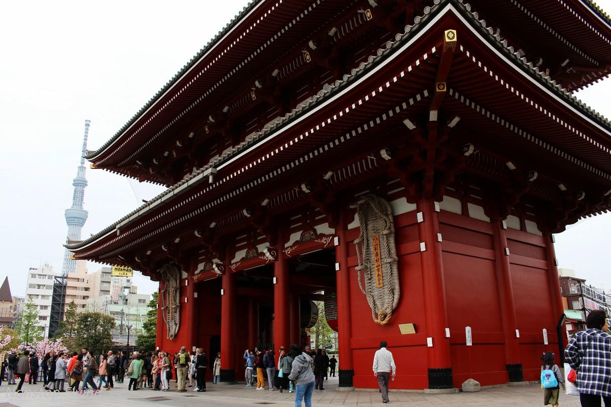 【日本東京】清澄庭園 -半藏門線/大江戶線徒步3分,經典日式庭園,春季賞櫻名所! - 第49張圖 【日本東京】清澄庭園 -半藏門線/大江戶線徒步3分,經典日式庭園,春季賞櫻名所!