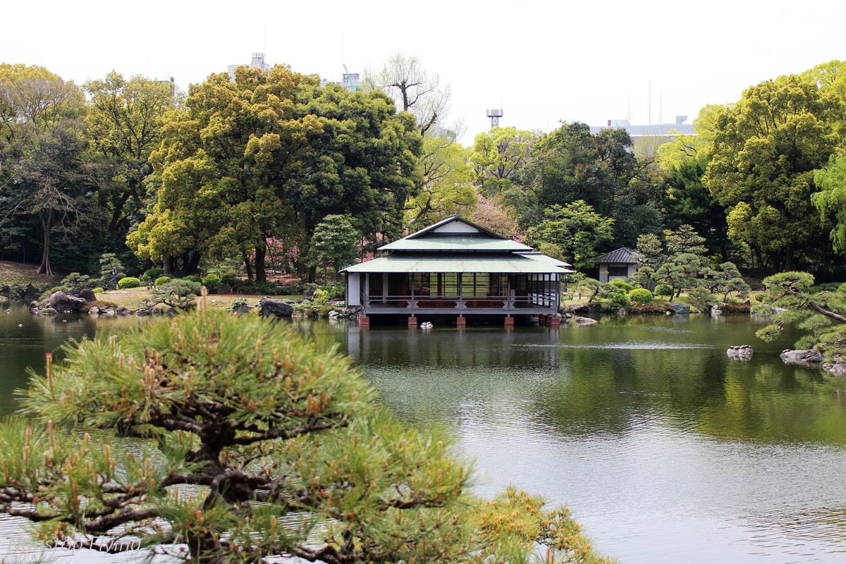 【日本東京】清澄庭園 -半藏門線/大江戶線徒步3分,經典日式庭園,春季賞櫻名所! - 第13張圖 【日本東京】清澄庭園 -半藏門線/大江戶線徒步3分,經典日式庭園,春季賞櫻名所!
