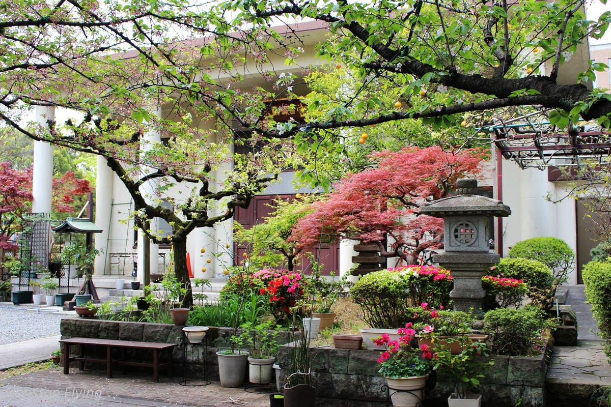 【日本東京】清澄庭園 -半藏門線/大江戶線徒步3分,經典日式庭園,春季賞櫻名所! - 第4張圖 【日本東京】清澄庭園 -半藏門線/大江戶線徒步3分,經典日式庭園,春季賞櫻名所!