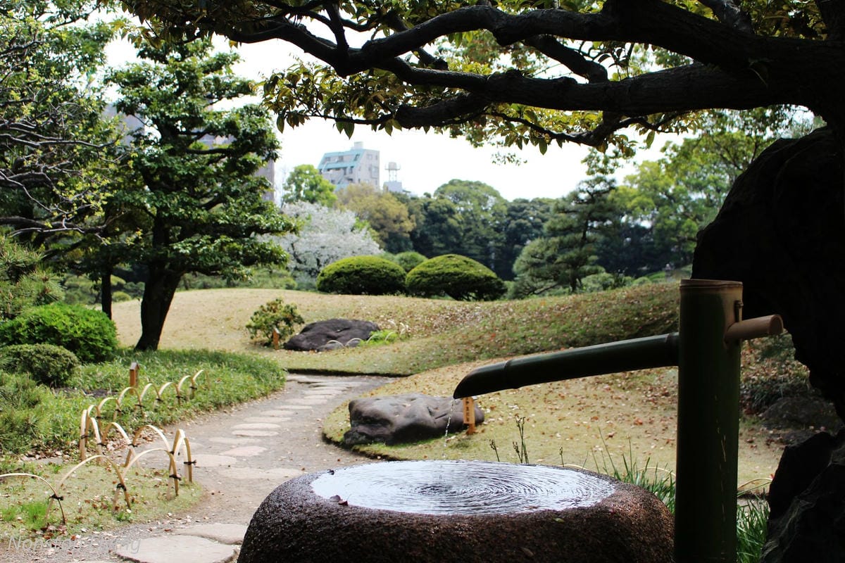 【日本東京】清澄庭園 -半藏門線/大江戶線徒步3分,經典日式庭園,春季賞櫻名所! - 第6張圖 【日本東京】清澄庭園 -半藏門線/大江戶線徒步3分,經典日式庭園,春季賞櫻名所!