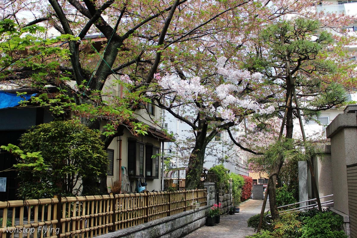 【日本東京】清澄庭園 -半藏門線/大江戶線徒步3分,經典日式庭園,春季賞櫻名所! - 第3張圖 【日本東京】清澄庭園 -半藏門線/大江戶線徒步3分,經典日式庭園,春季賞櫻名所!