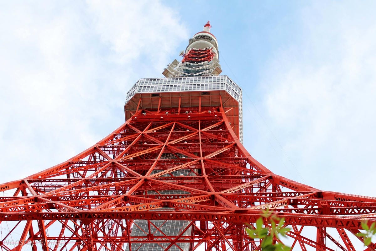 【日本東京】吉祥寺美登利壽司、井之頭公園、東京鐵塔、炸牛排 - 第25張圖 【日本東京】吉祥寺美登利壽司、井之頭公園、東京鐵塔、炸牛排
