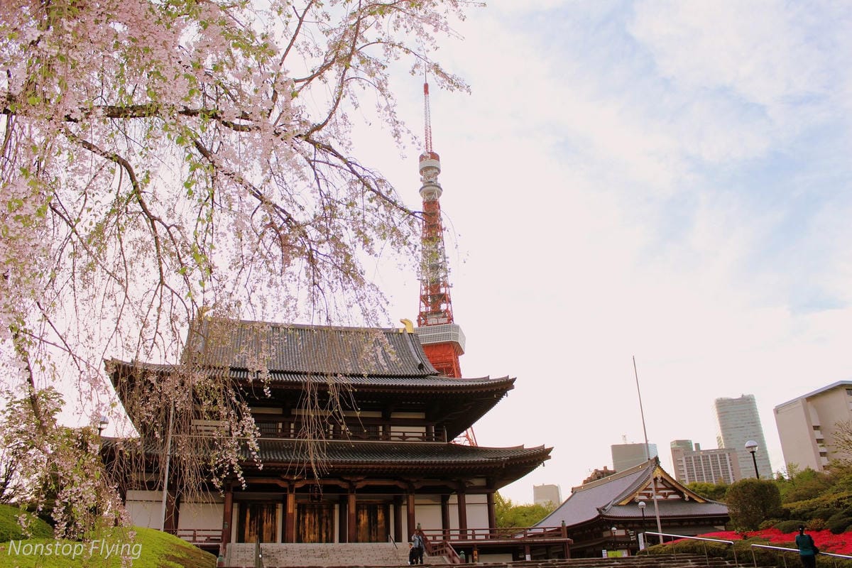 【日本東京】吉祥寺美登利壽司、井之頭公園、東京鐵塔、炸牛排 - 第24張圖 【日本東京】吉祥寺美登利壽司、井之頭公園、東京鐵塔、炸牛排