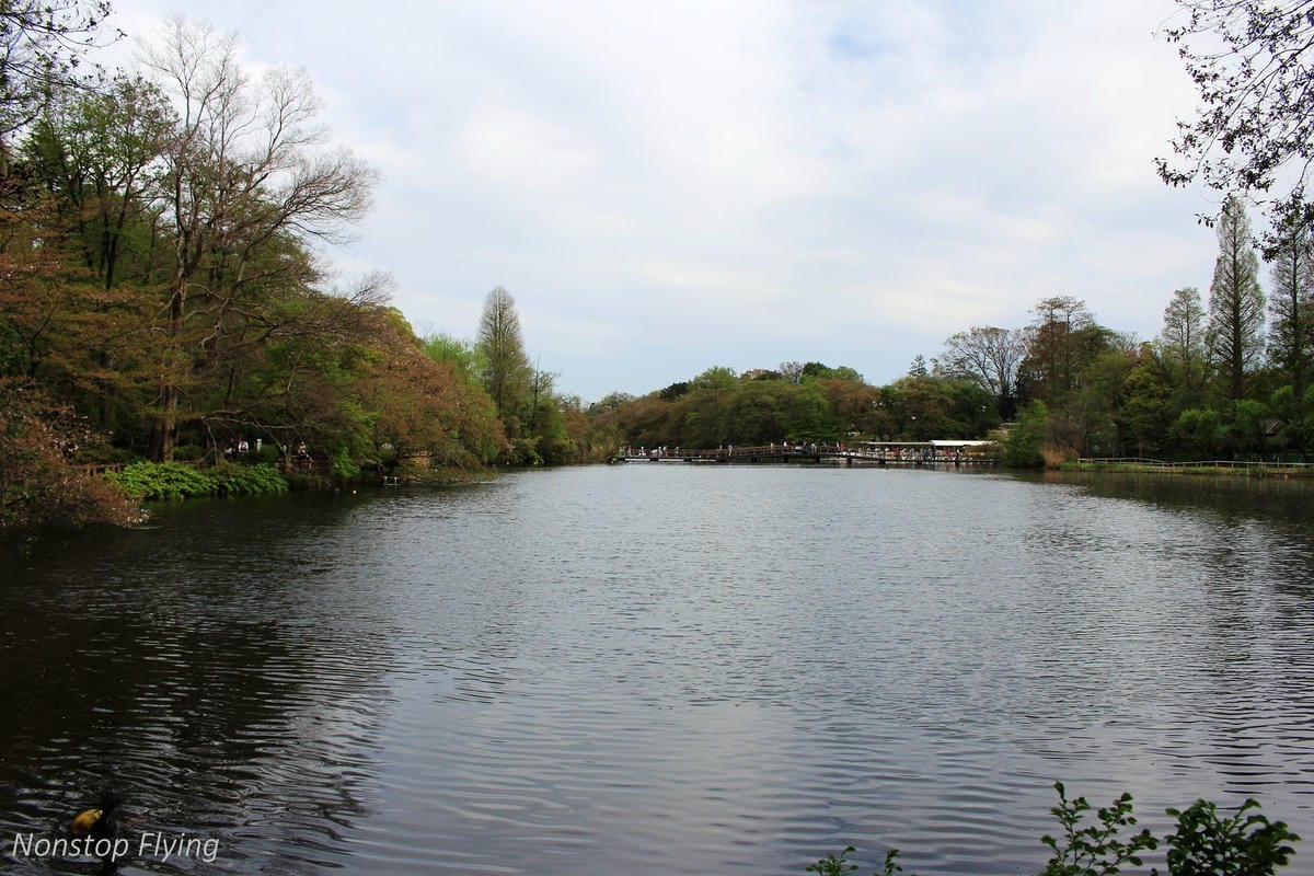 【日本東京】吉祥寺美登利壽司、井之頭公園、東京鐵塔、炸牛排 - 第14張圖 【日本東京】吉祥寺美登利壽司、井之頭公園、東京鐵塔、炸牛排