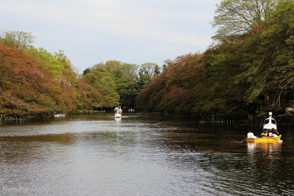 【日本東京】吉祥寺美登利壽司、井之頭公園、東京鐵塔、炸牛排 - 第22張圖 【日本東京】吉祥寺美登利壽司、井之頭公園、東京鐵塔、炸牛排