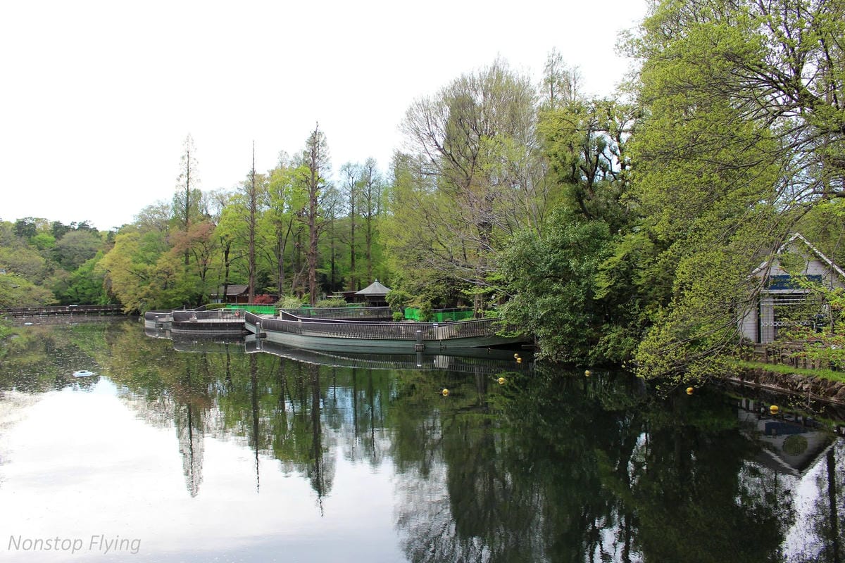 【日本東京】吉祥寺美登利壽司、井之頭公園、東京鐵塔、炸牛排 - 第21張圖 【日本東京】吉祥寺美登利壽司、井之頭公園、東京鐵塔、炸牛排