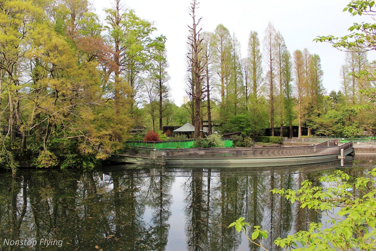 【日本東京】吉祥寺美登利壽司、井之頭公園、東京鐵塔、炸牛排 - 第19張圖 【日本東京】吉祥寺美登利壽司、井之頭公園、東京鐵塔、炸牛排