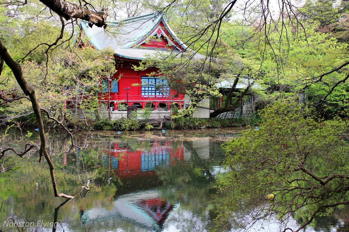 【日本東京】吉祥寺美登利壽司、井之頭公園、東京鐵塔、炸牛排 - 第17張圖 【日本東京】吉祥寺美登利壽司、井之頭公園、東京鐵塔、炸牛排