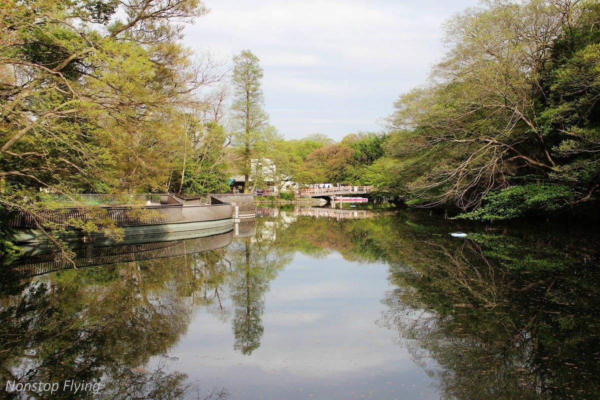 【日本東京】吉祥寺美登利壽司、井之頭公園、東京鐵塔、炸牛排 - 第18張圖 【日本東京】吉祥寺美登利壽司、井之頭公園、東京鐵塔、炸牛排