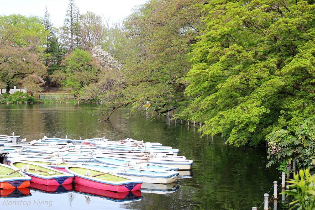 【日本東京】吉祥寺美登利壽司、井之頭公園、東京鐵塔、炸牛排 - 第20張圖 【日本東京】吉祥寺美登利壽司、井之頭公園、東京鐵塔、炸牛排