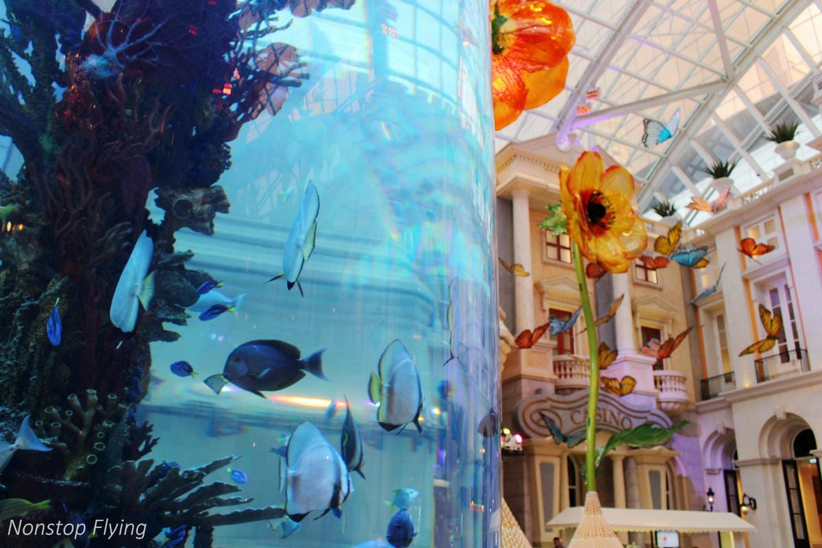 【澳門一日遊】從巴黎人、威尼斯人逛到澳門半島-議事亭前地、大三巴牌坊、東望洋燈塔、美高梅酒店… - 第38張圖 【澳門一日遊】從巴黎人、威尼斯人逛到澳門半島-議事亭前地、大三巴牌坊、東望洋燈塔、美高梅酒店…